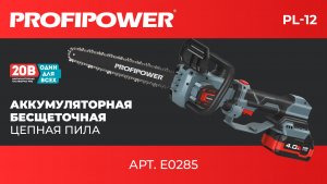 Пила PROFIPOWER PL-12 с штангой телескопической  артикул E0285