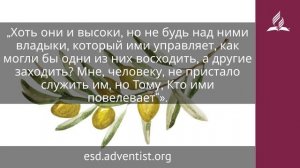 8 декабря 2025. Вторая заповедь. Под сенью благодати | Адвентисты