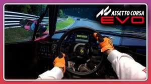Что будет, если прокатить Ferrari F40 LM по Нюрбургрингу в Assetto Corsa EVO?