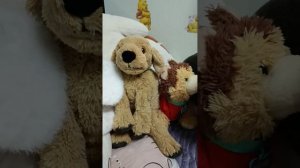 Гендер пати в реальной жизни. участники хаусов и владелец угадали! английский кокер-спаниель Герда!