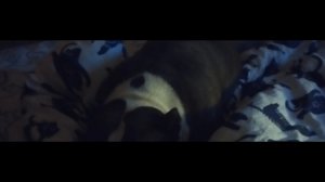 разговариваем