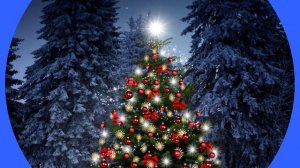 Песня: Снегопад.