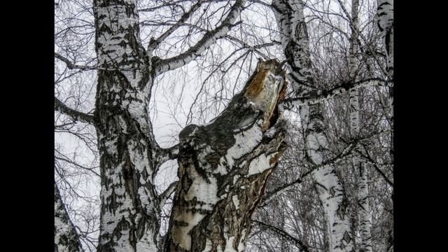 Живописные облака, белый снег по берегу застывающего пруда