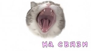 травимся соевым мясом🫡