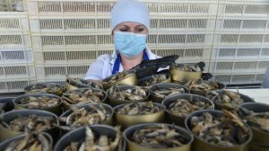 Счет идет на минуты: что делать при отравлении рыбными консервами