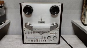 DailyStream за ноябрь