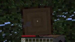 Minecraft 2018-12-07 13-47-45