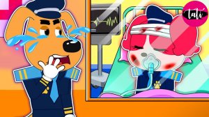 Щенячий патруль и Маршалл. Залипательное видео. Мультфильм для детей и малышей. Анимация