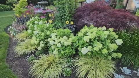 САДЫ США САД МЕЧТЫ От голого двора к саду мечты 13 лет спустя ИЮЛЬ 2025