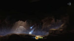 Ori and the Blind Forest  Definitive Edition