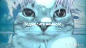 Говорящий том 2 доходим до 15 лвл