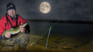 Ночная ловля НАЛИМА в ПОЛНОЛУНИЕ | Безумные поклёвки и невероятные эмоции от поимки.