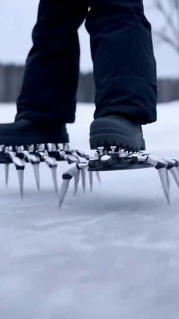 Сапожки - сороконожки