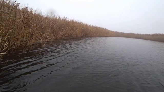 Голодная щука бросается на все приманки. Рыбалка на спиннинг и кружки!