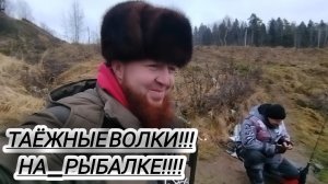 РЫБАЛКА таёжные волки ЛОВЯТ РЫБУ НА РЕКЕ!