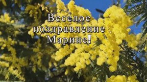 Веселое поздравление Марине! С Днём Рождения!