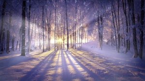 Магический день 7 декабря. Код исполнения желаний.