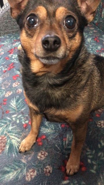 От Принца всем подписчикам привет смотреть онлайн