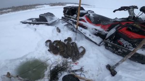 Рыбалка на реке. Перемёты на Енисее, проверка. 34