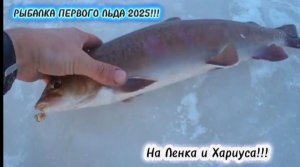 Рыбалка по Первому Льду 2025/2026!!! Огомный Ленок как дал,чуть удочку в лунку не утащил!!!