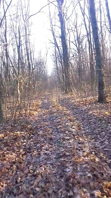 VID_2025-12-07-13-28-47-773 смотреть онлайн