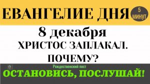 8 декабря Евангелие дня Почему Христос заплакал Пророчество о разрушении (Лк 1937-44)