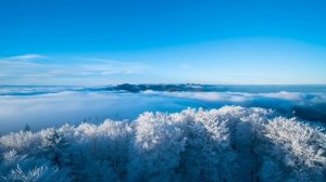 Волшебство 8 декабря. Какую тайну он откроет.