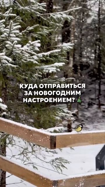 Новый год, куда съездить