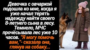 Жизненные Истории/Девочка с овчаркой подошла ко мне, когда я уже начал терять надежду найти своего