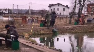 поимка форели на фидер