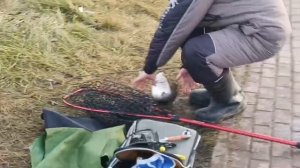 VID_20251207_114334_611