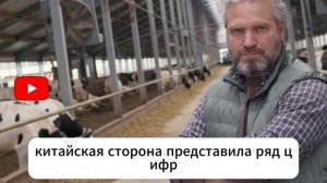 “Историческая сделка” США и Китая оказалась мифом — реальность переговоров обернулась...