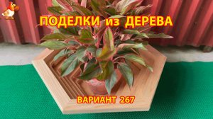 Поделки из дерева своими руками для дачи и сада вариант (267) 🪚🔨🪛🐦