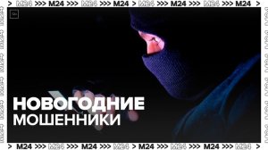 Полиция предупредила об активизации мошенников перед продажей новогодних туров - Москва 24