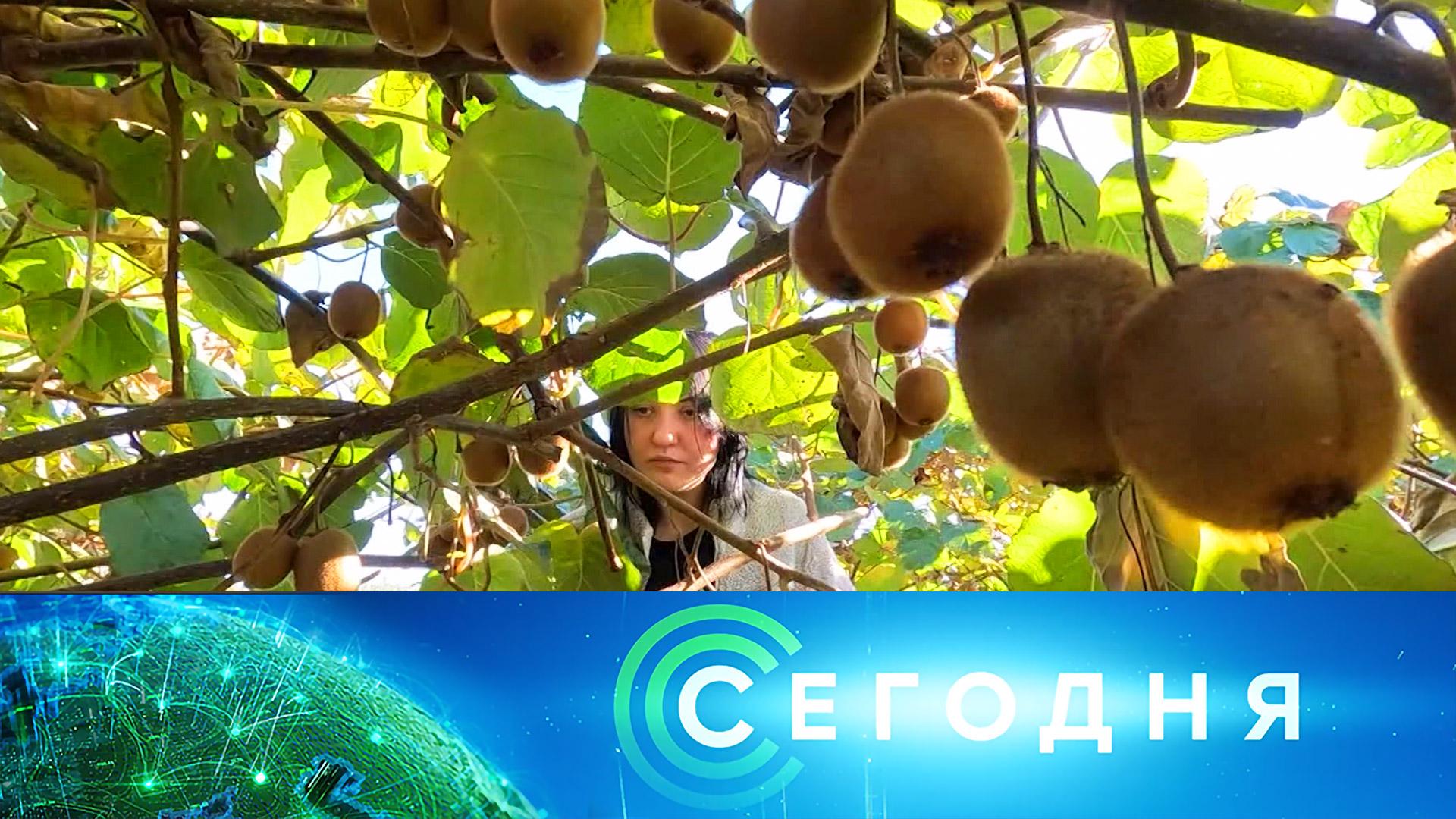 Сегодня: 7 декабря 2025года. 10:00 | Выпуск новостей | Новости НТВ