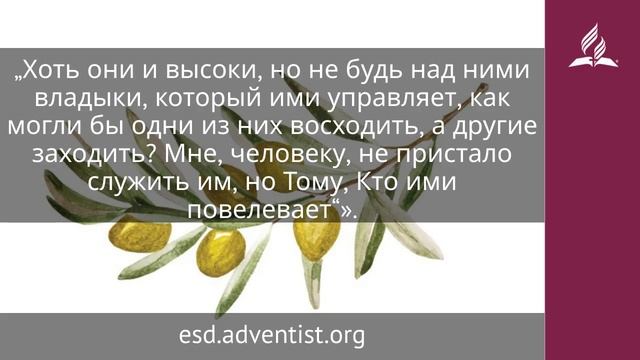 8 декабря 2025. Вторая заповедь. Под сенью благодати | Адвентисты