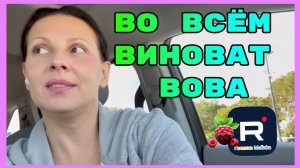 Big Big Family in the USA _Во всем виноват Вова _Обзор _Биг Биг Фэмэли _Funny 4