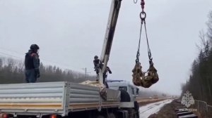 МЧС из Санкт-Петербурга обезвредили восемь авиабомб и более ста мин