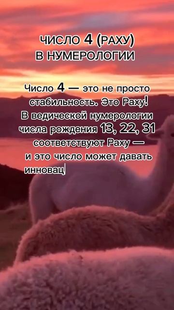 Число 4 Раху в нумерологии #7гроз #веды #нумерология #астрология #магиячисел