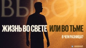 Жизнь во свете и во тьме: в чем разница?
