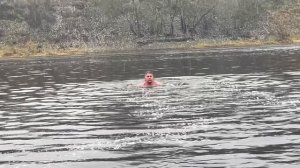 Совсем не зимний декабрь