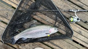 Ловля форели в Москве. Одна блесна сделала рыбалку!