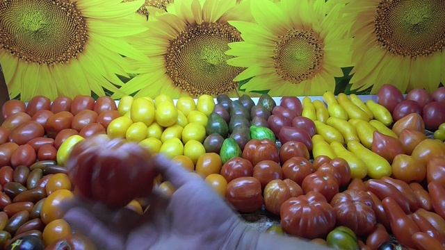 Какие томаты идеально подходят для консервирования. Рассказываю и показываю.