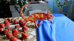 Удивительные животные, способные менять свой цвет