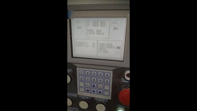 Упаковка замороженных пельменей и вареников Автомат фасовочно-упаковочный двухручьевой смотреть онлайн