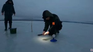 ЗИМНЯЯ РЫБАЛКА НА ОЗЕРЕ. ПРОВЕРКА ЖЕРЛИЦ.