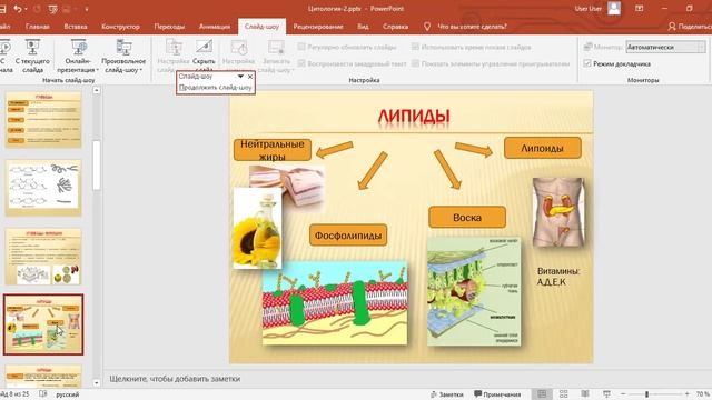 углеводы и липиды