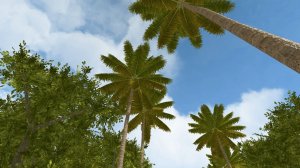 Isla De La - где я?