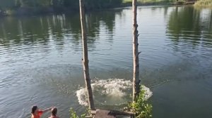 Прыжок  с трамплина в воду рыбкой