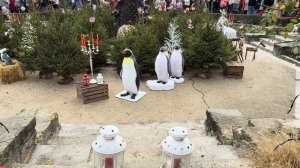 ПАРИЖСКИЕ ОГНИ 🔥 Самый красивый город зимой